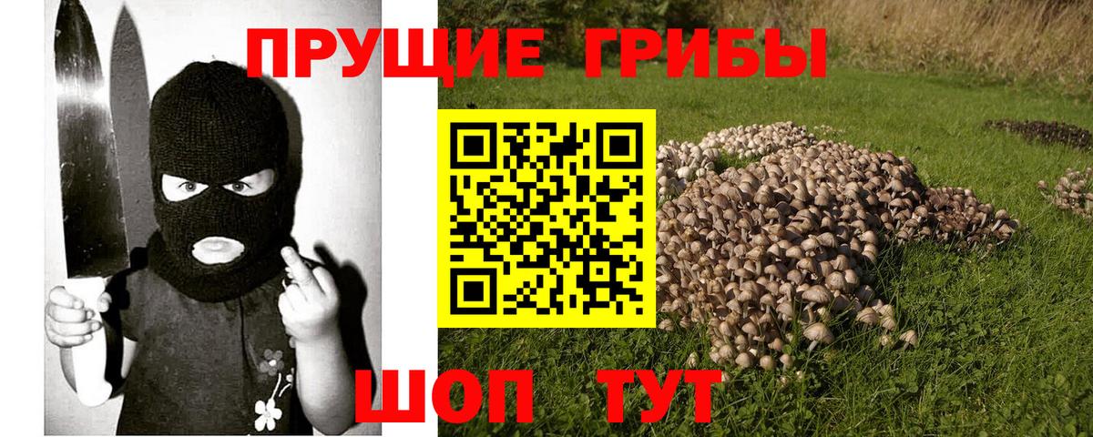 Псилоцибиновые грибы MAGIC MUSHROOMS  Псилоцибиновые грибы GOLDEN TEACHER  Вход с VPN  Краснознаменск 
